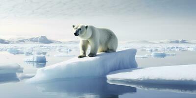 AI generated Polar bear on ice floe. Melting iceberg and global warming. AI Generated photo