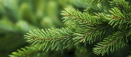 ai generado Navidad árbol ramas en un natural antecedentes. ai generado foto