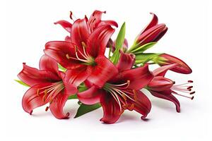 AI generated Red Lilies isolated on white background. AI Generated photo