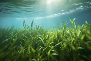 AI generated Underwater view of a group of seabed with green seagrass. AI Generated photo