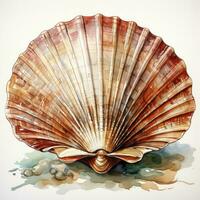 AI generated Watercolor Seashell clipart on white background. AI Generated photo