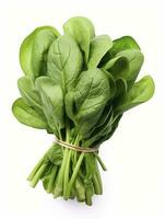 AI generated Bunch of spinach isolated on white background. AI Generated photo