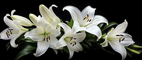 AI generated White lily flowers on black background. AI Generated photo