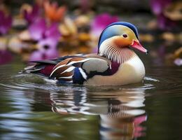 AI generated Closeup of mandarin duck swimming in lake. generative AI. photo
