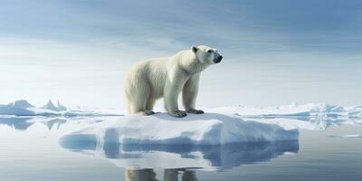 AI generated Polar bear on ice floe. Melting iceberg and global warming. AI Generated photo