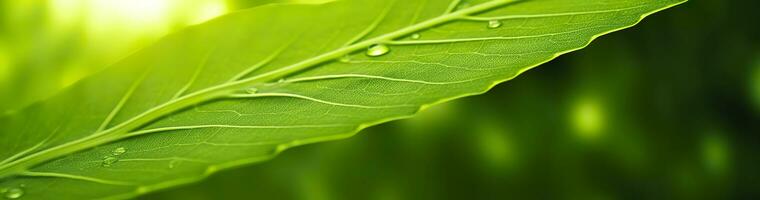 ai generado verde hoja naturaleza antecedentes. ai generado foto