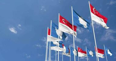 Antarctica and Singapore Flags Waving Together in the Sky, Seamless Loop in Wind, Space on Left Side for Design or Information, 3D Rendering video