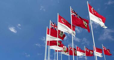 Bermuda and Singapore Flags Waving Together in the Sky, Seamless Loop in Wind, Space on Left Side for Design or Information, 3D Rendering video