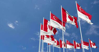 Canada e Singapore bandiere agitando insieme nel il cielo, senza soluzione di continuità ciclo continuo nel vento, spazio su sinistra lato per design o informazione, 3d interpretazione video