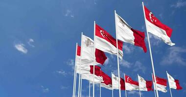 Malta and Singapore Flags Waving Together in the Sky, Seamless Loop in Wind, Space on Left Side for Design or Information, 3D Rendering video