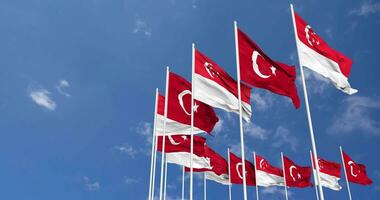 Turkey and Singapore Flags Waving Together in the Sky, Seamless Loop in Wind, Space on Left Side for Design or Information, 3D Rendering video