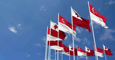 Tonga und Singapur Flaggen winken zusammen im das Himmel, nahtlos Schleife im Wind, Raum auf links Seite zum Design oder Information, 3d Rendern video