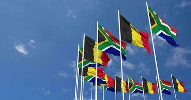 Belgium and South Africa Flags Waving Together in the Sky, Seamless Loop in Wind, Space on Left Side for Design or Information, 3D Rendering video