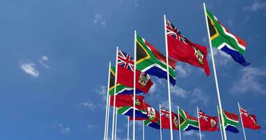 Bermuda and South Africa Flags Waving Together in the Sky, Seamless Loop in Wind, Space on Left Side for Design or Information, 3D Rendering video