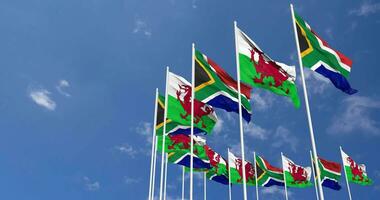 Wales and South Africa Flags Waving Together in the Sky, Seamless Loop in Wind, Space on Left Side for Design or Information, 3D Rendering video