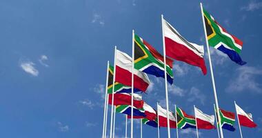 Poland and South Africa Flags Waving Together in the Sky, Seamless Loop in Wind, Space on Left Side for Design or Information, 3D Rendering video