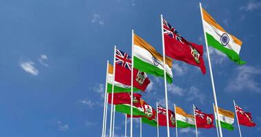 Bermuda and India Flags Waving Together in the Sky, Seamless Loop in Wind, Space on Left Side for Design or Information, 3D Rendering video