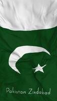 Pakistan Vertical Flags Closeup Seamless Looping Background, Looped Bump Texture Cloth Waving Slow Motion, Status, 3D Rendering video