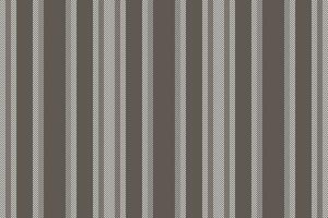 Seamless texture vertical of pattern stripe background with a lines vector textile fabric.
