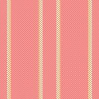 Pattern background texture of vertical stripe seamless with a fabric textile lines vector. vector
