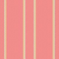 Pattern background texture of vertical stripe seamless with a fabric textile lines vector. vector