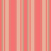 Pattern lines texture of fabric background textile with a vector stripe seamless vertical.