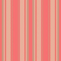 Pattern lines texture of fabric background textile with a vector stripe seamless vertical.