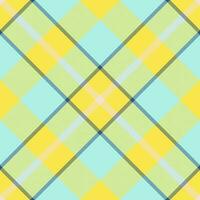 Plaid pattern vector. Check fabric texture. Seamless textile design for clothes, paper print. vector