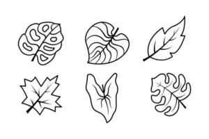 Set Autumn Leaf Lineart isolated on a white background vector