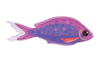 Vector isolated sea water parrotfish cartoon illustration on white