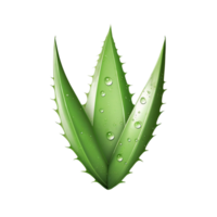 AI generated Aloe Vera Leaf with Water Droplets on Transparent Background png