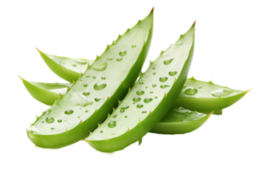 ai generiert Aloe vera Blatt mit Wasser Tröpfchen auf transparent Hintergrund png