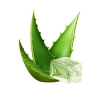 AI generated Fresh Aloe Vera Gel and Leaves on transparent  Background png