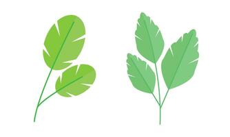 Vector flat design of leaves collection on white background