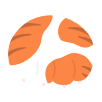 Cat Paw Cartoon illustration Cute Cat Cat Sticker Cute Element Tabby Orange Cat Paw png