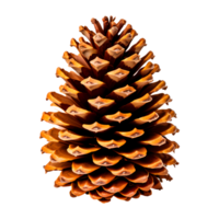 AI generated Brown Pinecone Isolated on Transparent Background png