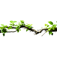 AI generated Jungle Branch with Thriving Plant Isolated on Transparent Background png