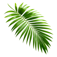 AI generated Tropical Green Palm Leaf Isolated on Transparent Background png