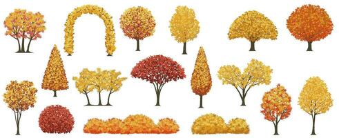 Trees And Shrubs In Autumn Colors Vector Illustration Set Isolated On A White Background.