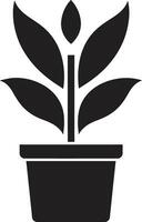 botánico belleza emblemático planta icono hojas perennes elegancia logo vector icono