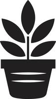 eco encantamiento emblemático planta icono botánico brillantez logo vector icono