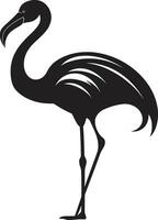 radiante costa flamenco pájaro emblema vector elegante plumaje flamenco icónico logo diseño