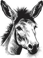 duradero elegancia icónico Burro vector equino emblema Burro logo diseño