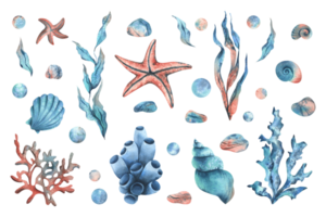 Underwater world clipart with sea animals starfish, shells, corals, sponge and algae, pebbles, bubbles. Hand drawn watercolor illustration. Big set objects on a isolated background. png