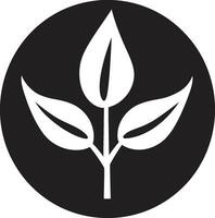 botánico equilibrar planta emblema diseño jardín crecimiento icónico planta vector