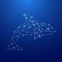 Geometric Orca silhouette. Image of Orca in the form of constellation vector