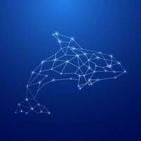 Geometric Orca silhouette. Image of Orca in the form of constellation vector