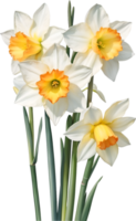 AI generated Watercolor Narcissus flower. AI-Generated. png