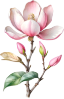 AI generated Watercolor Magnolia flower. AI-Generated. png