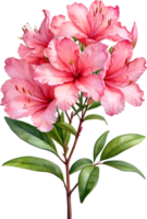 ai généré aquarelle hibiscus fleur. ai-généré. png